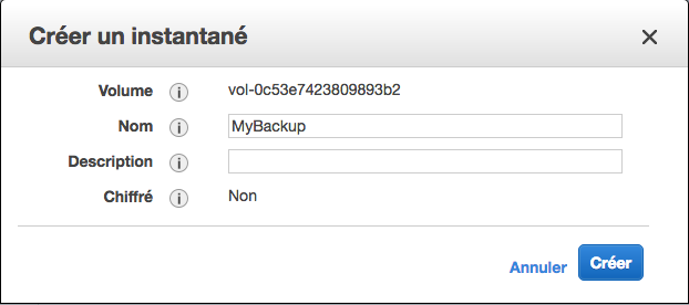 aws_ebs_instantane