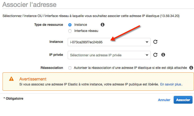 aws_ip_elastic_association