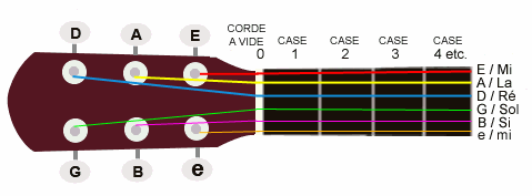 manche_guitar_color